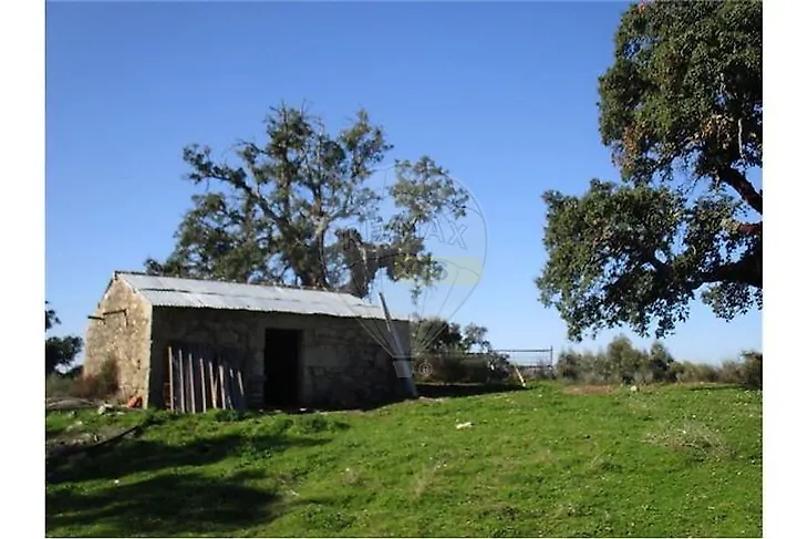 main-listing-picture-0