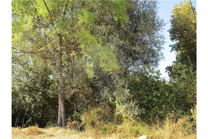 main-listing-picture-0