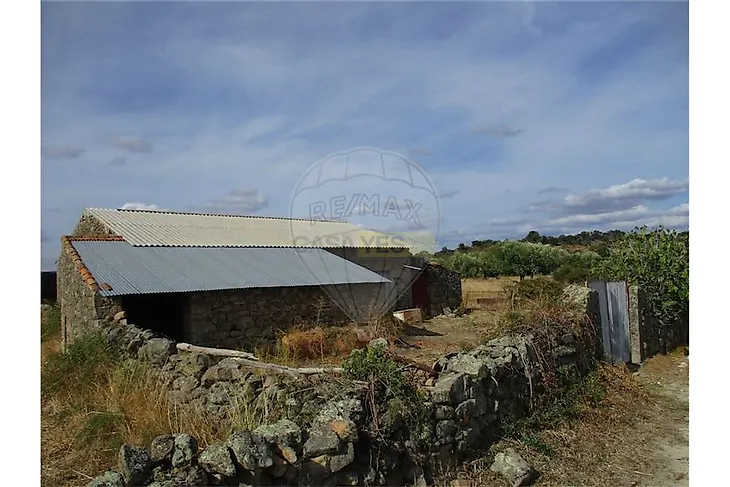 main-listing-picture-0