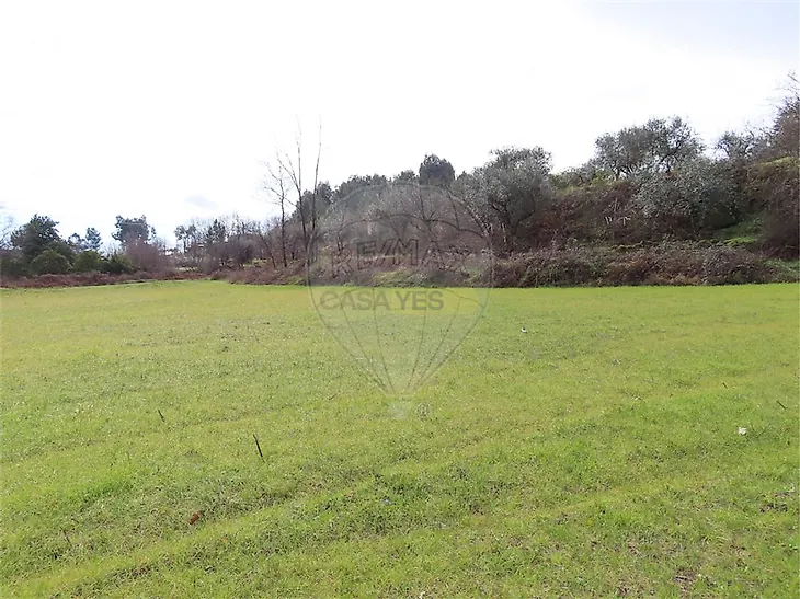 main-listing-picture-0