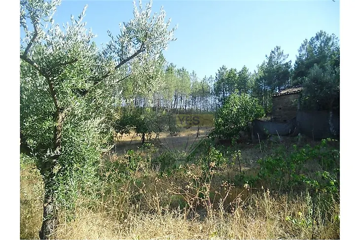 main-listing-picture-0