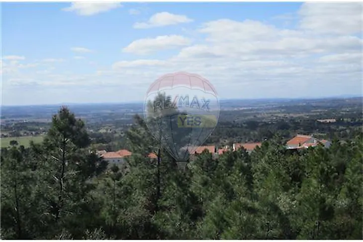 main-listing-picture-0