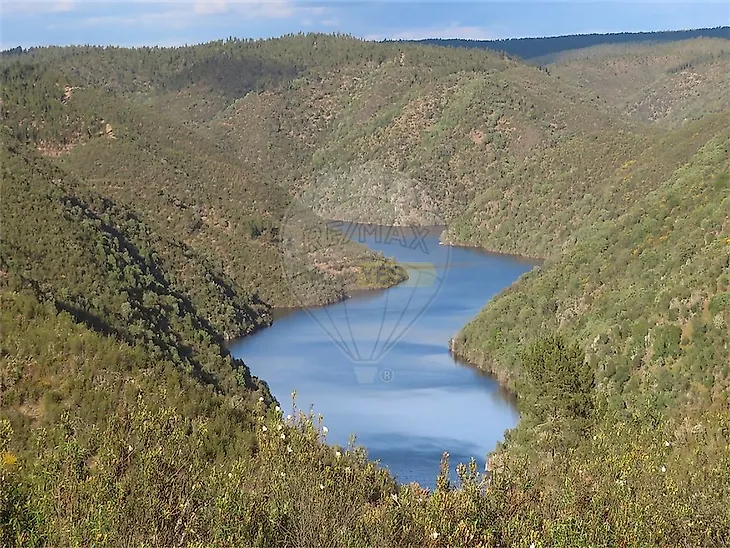 main-listing-picture-0