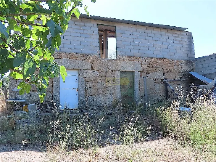 main-listing-picture-0