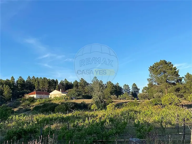 main-listing-picture-0