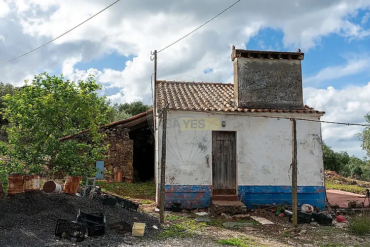 main-listing-picture-0