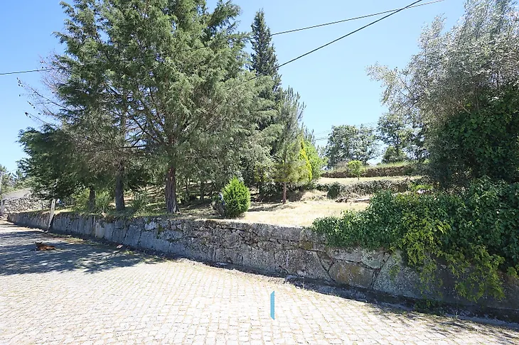 main-listing-picture-0