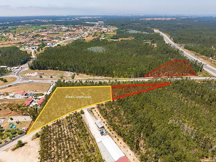 main-listing-picture-0