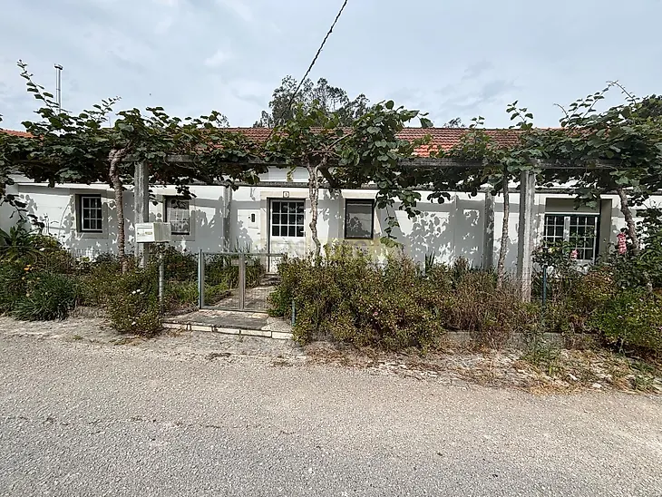 main-listing-picture-0