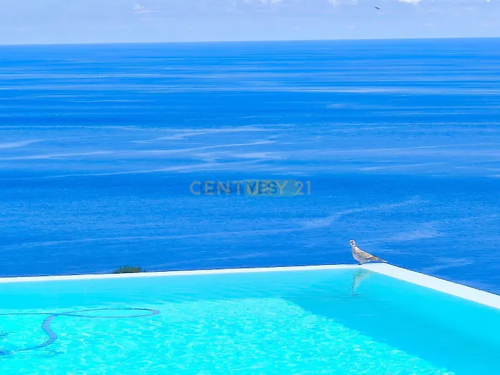 main-listing-picture-0