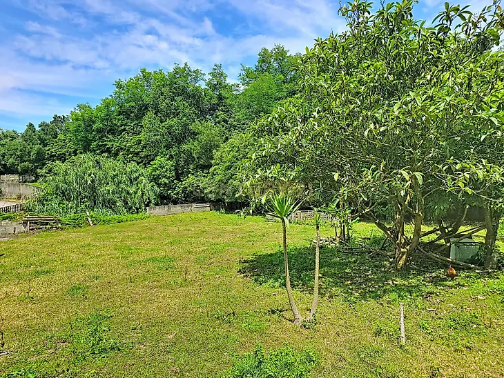 main-listing-picture-0