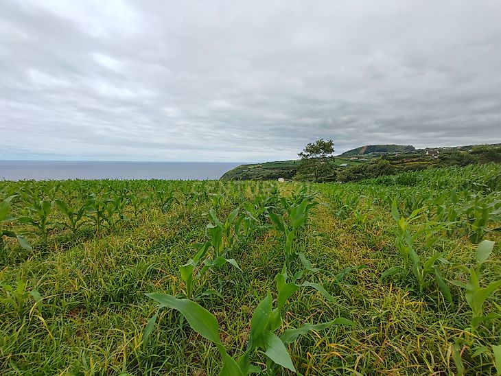 main-listing-picture-0