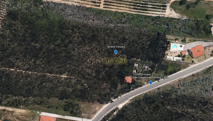 main-listing-picture-0