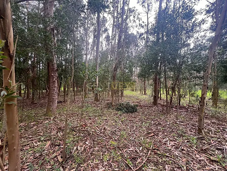 main-listing-picture-0