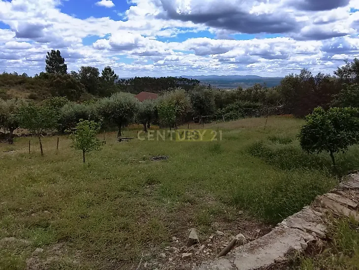 main-listing-picture-0