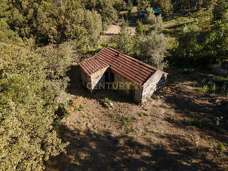main-listing-picture-0