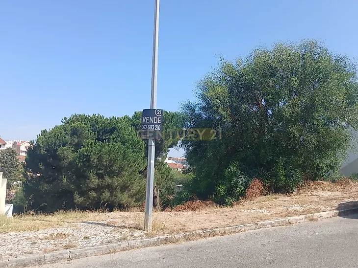 main-listing-picture-0