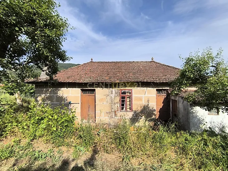 main-listing-picture-0