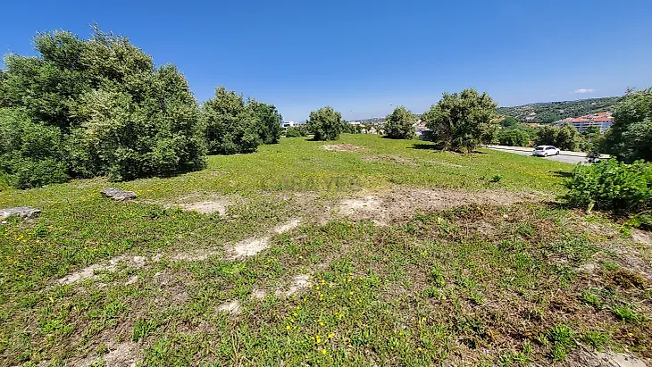main-listing-picture-0