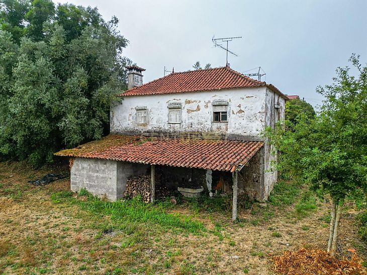 main-listing-picture-0