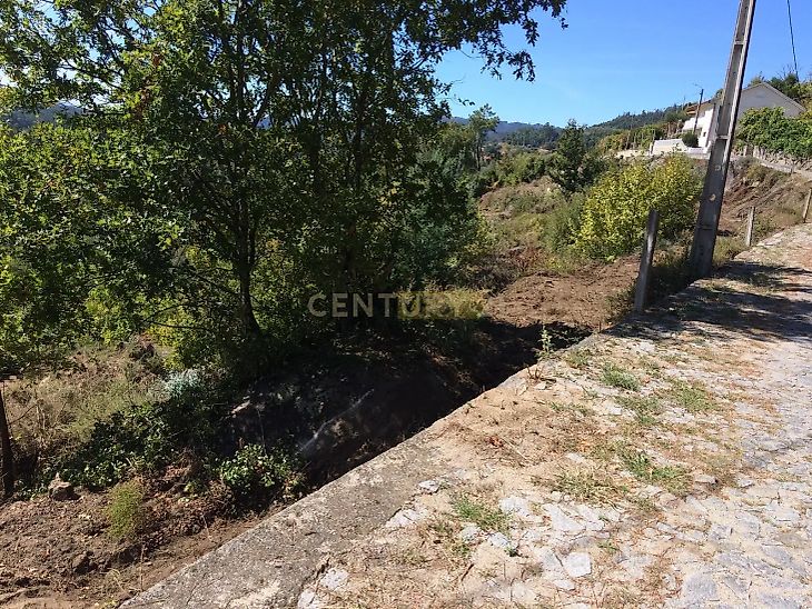 main-listing-picture-0