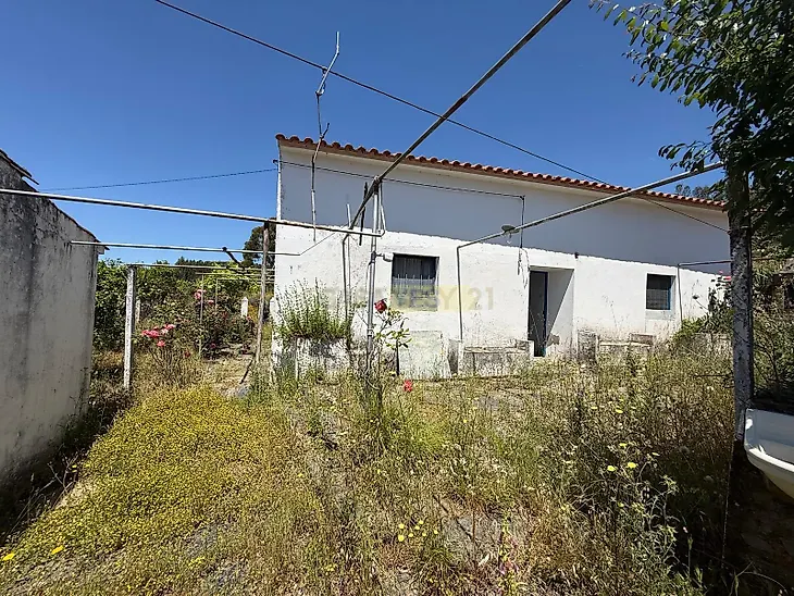 main-listing-picture-0