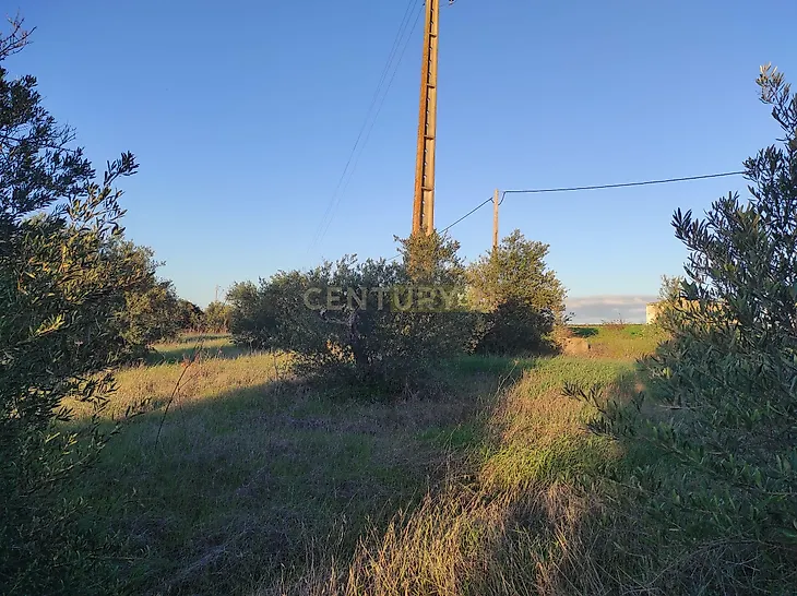 main-listing-picture-0