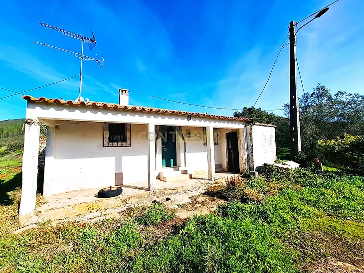 main-listing-picture-0