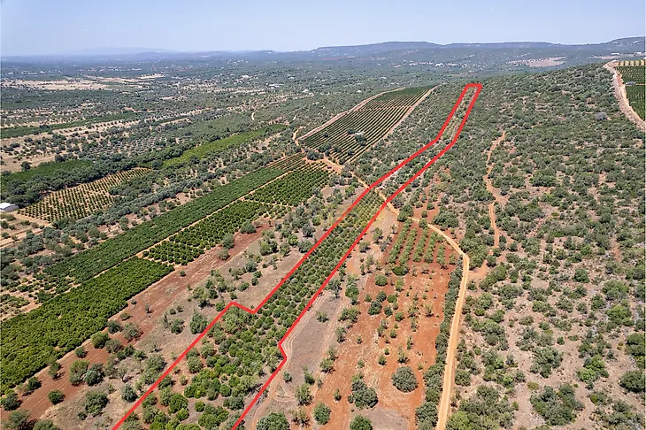 main-listing-picture-0