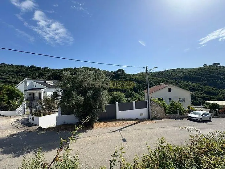 main-listing-picture-0