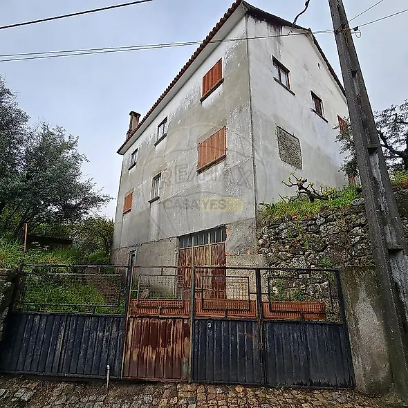 main-listing-picture-0