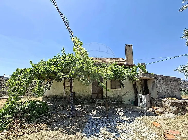 main-listing-picture-0