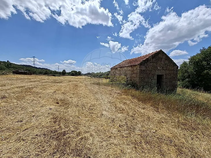main-listing-picture-0