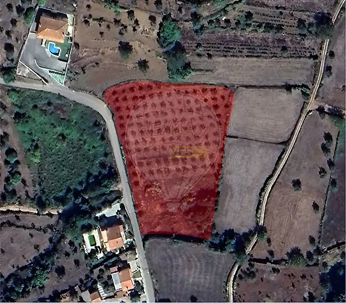 main-listing-picture-0