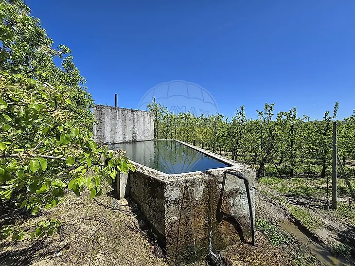 main-listing-picture-0