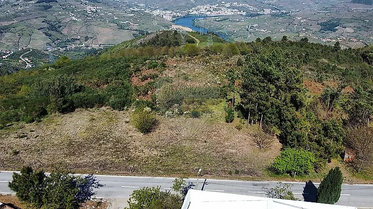 main-listing-picture-0