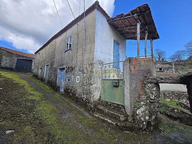 main-listing-picture-0
