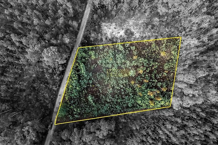 main-listing-picture-0