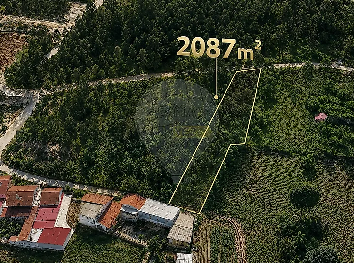 main-listing-picture-0