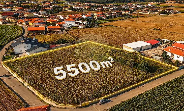 main-listing-picture-0