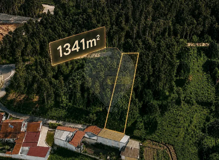main-listing-picture-0