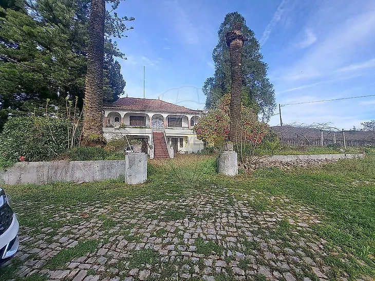 main-listing-picture-0
