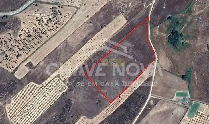 main-listing-picture-0