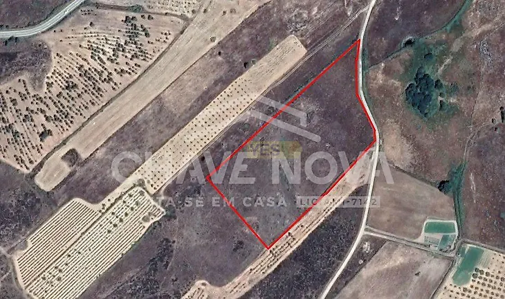 main-listing-picture-0