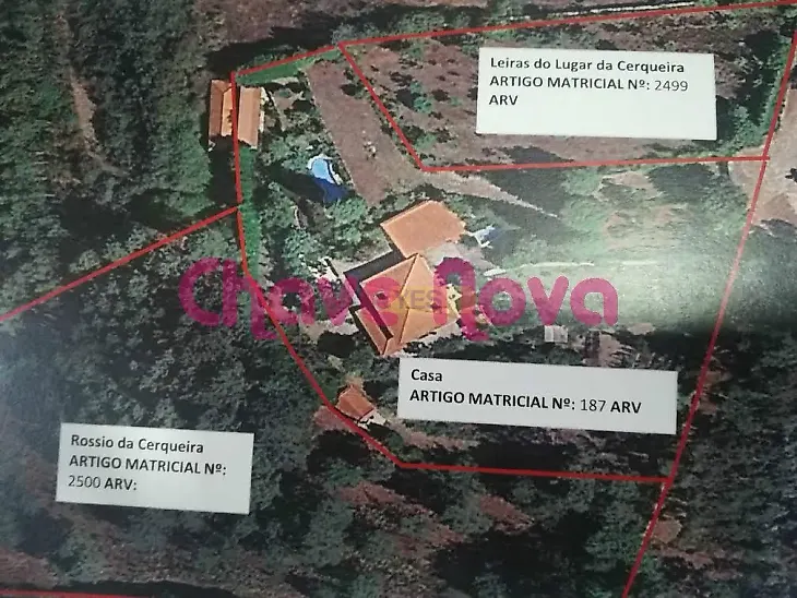 main-listing-picture-0