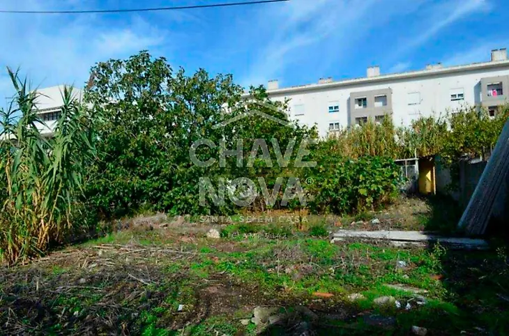 main-listing-picture-0