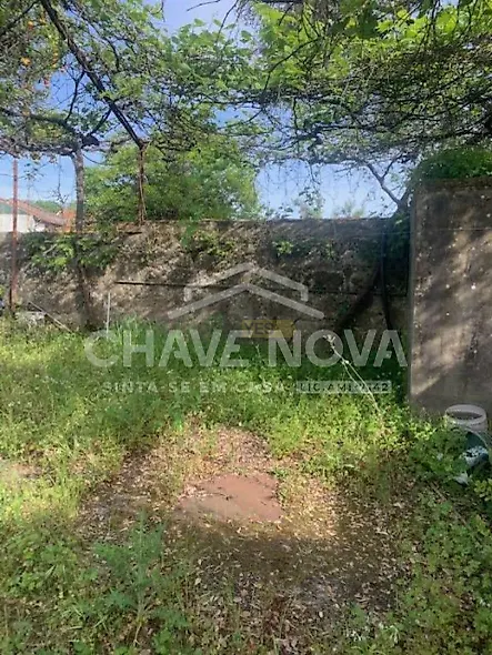 main-listing-picture-0