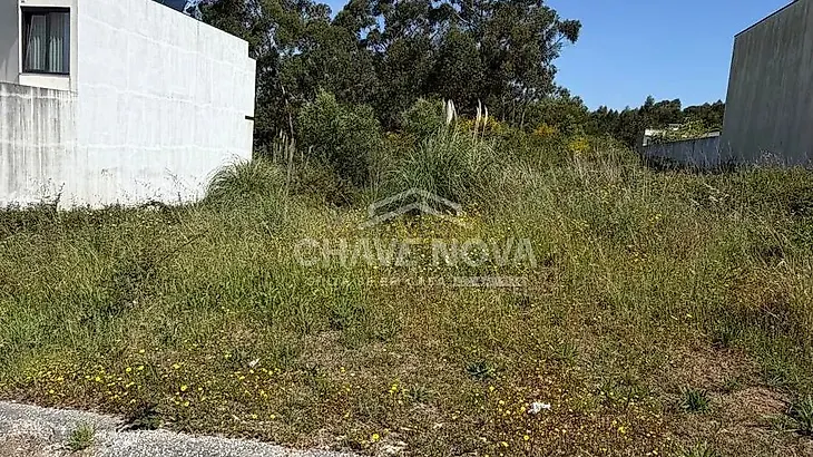 main-listing-picture-0