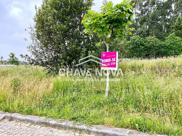 main-listing-picture-0