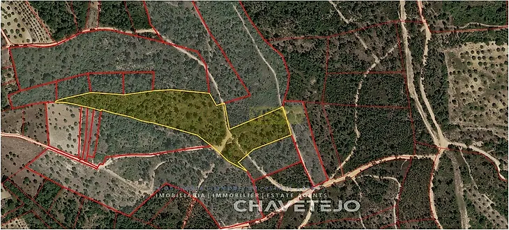 main-listing-picture-0
